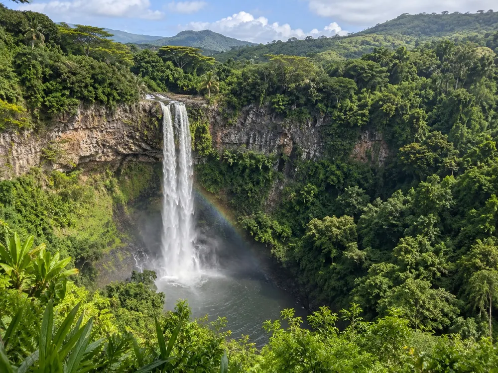 A waterfall dropping into a forested gorge in the south-west